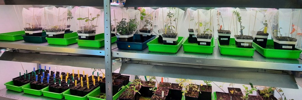 Collaboration and Innovation